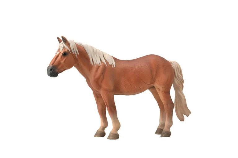 Noriker Mare Flaxen Chestnut