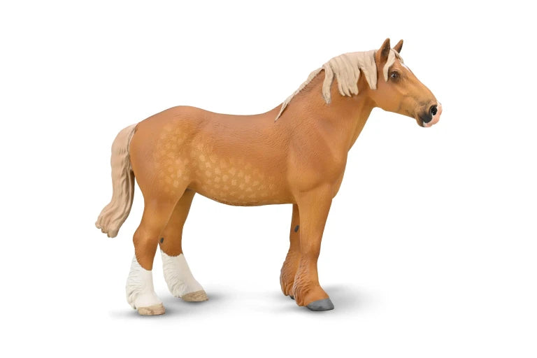 Belgian Mare - Sorrel