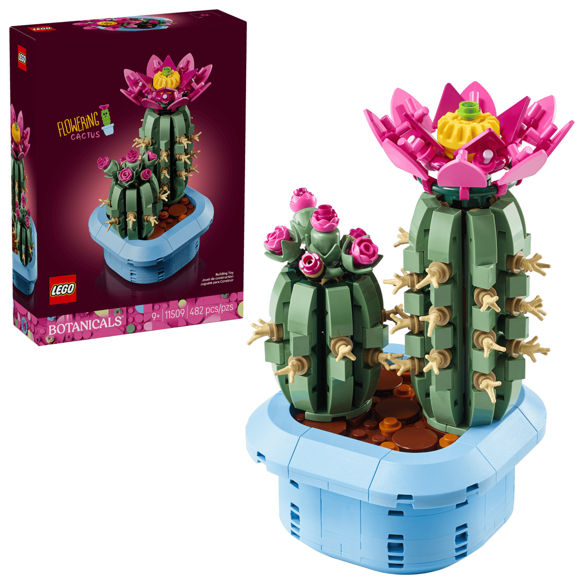 11509 Flowering Cactus