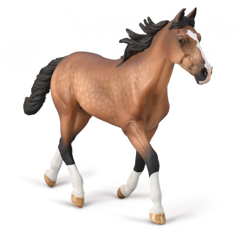 Standardbred Pacer Stallion Bay