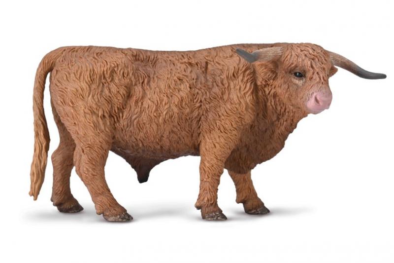 Highland Bull
