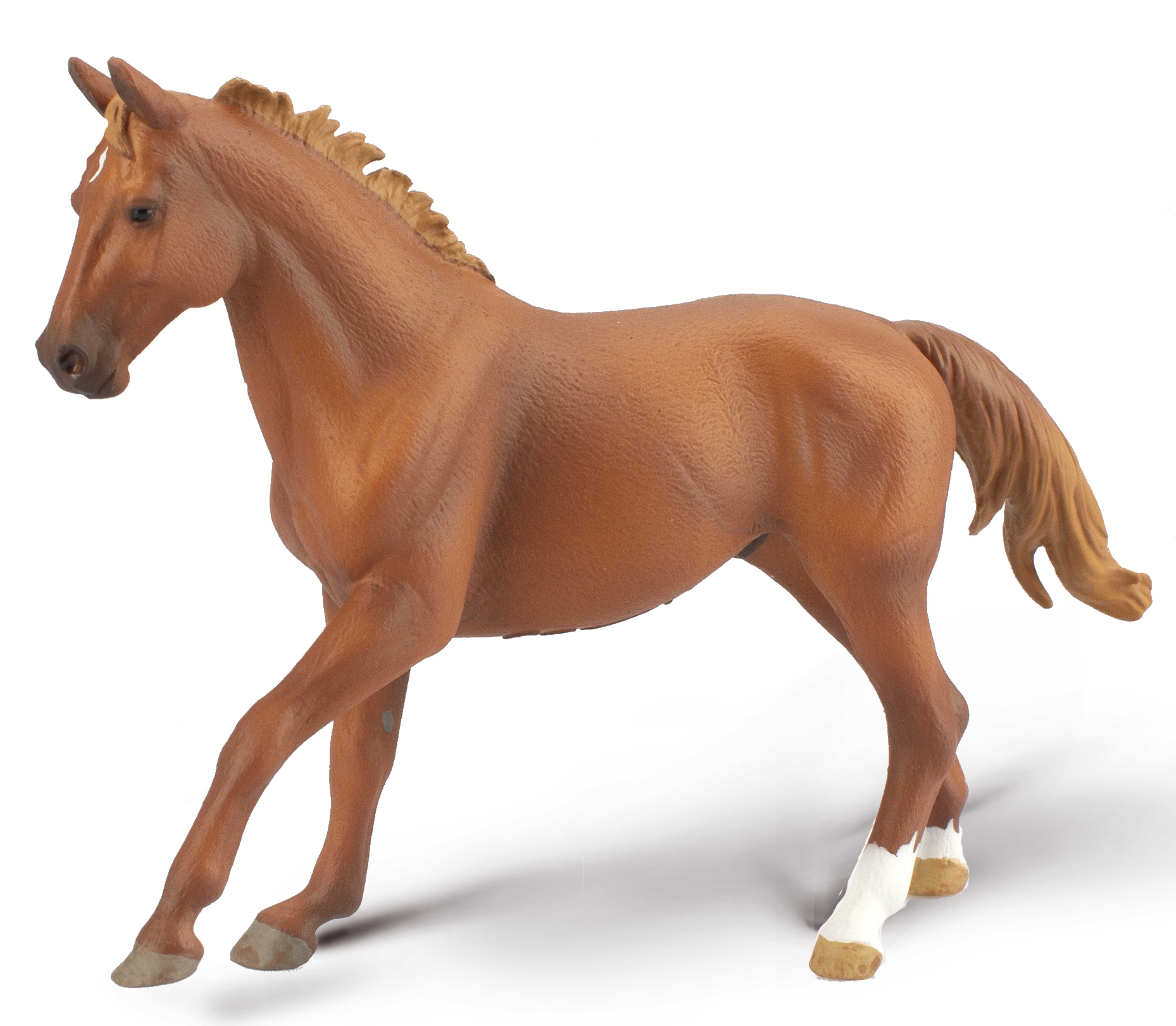 Phar Lap Stallion Chestnut