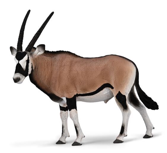 Gemsbok