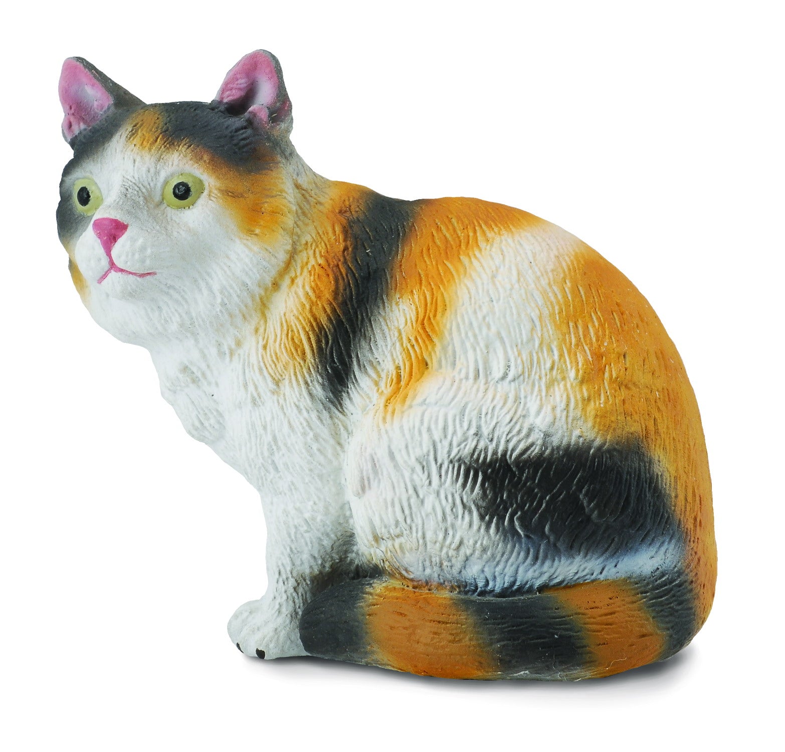 House Cat