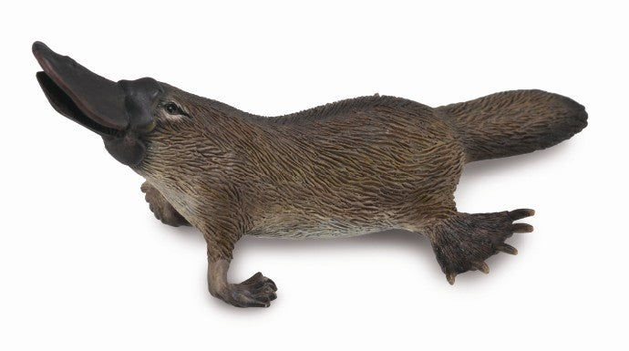 Platypus
