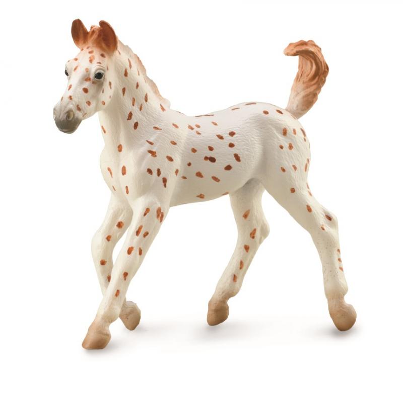 Knabstrupper Foal Leopard