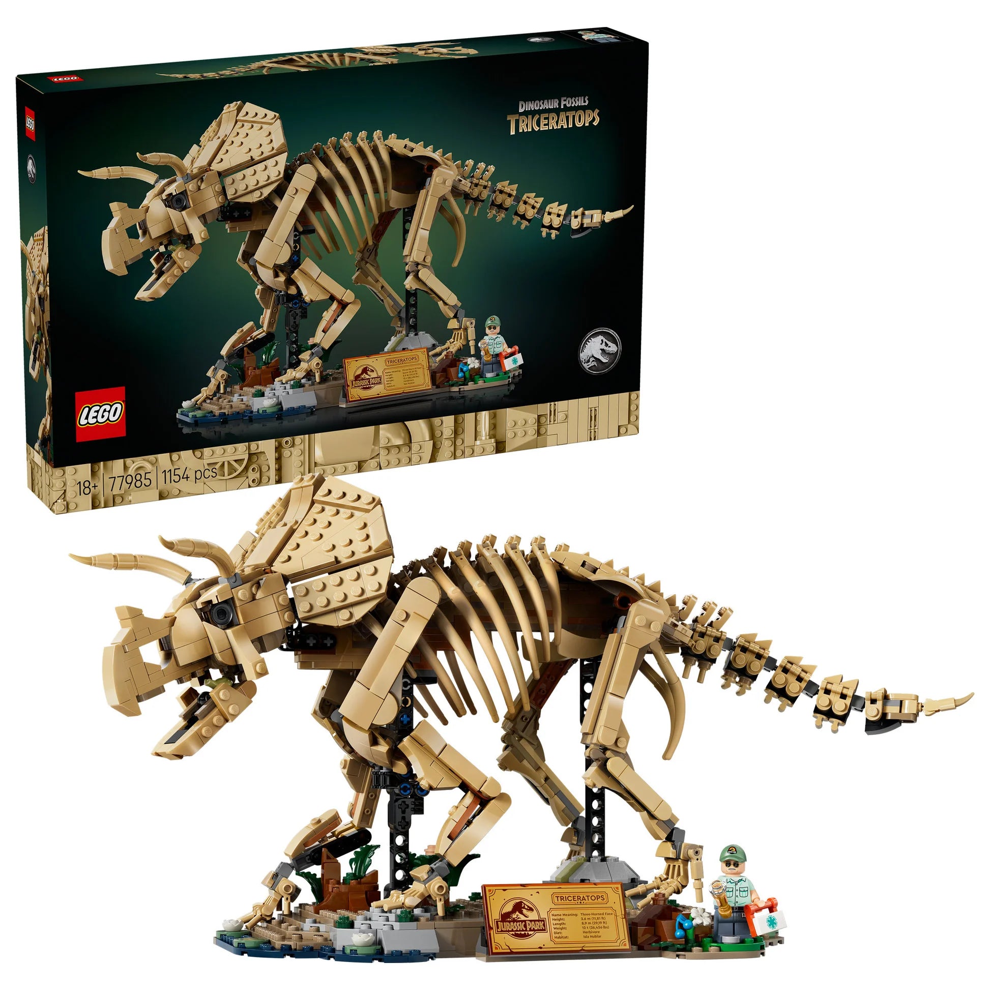 77985 Dinosaur Fossils: Triceratops