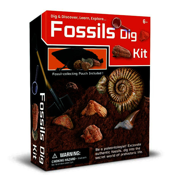 Dig and Discover Fossils Dig Kit