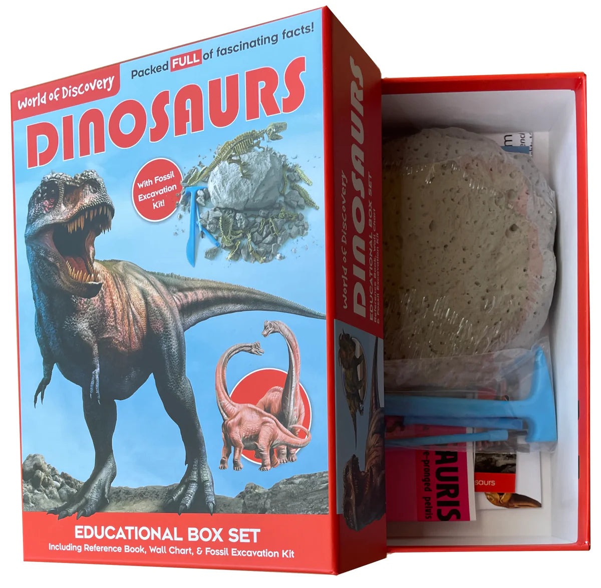 Dinosaur Educational Box Set