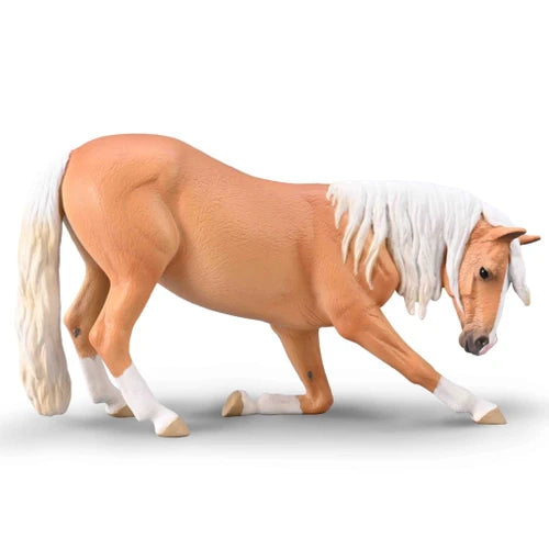 Bowing Lusitano mare Palomino