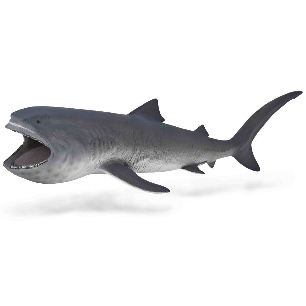Megamouth Shark