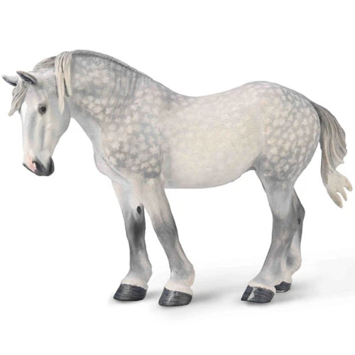 Percheron Mare - Dapple Grey