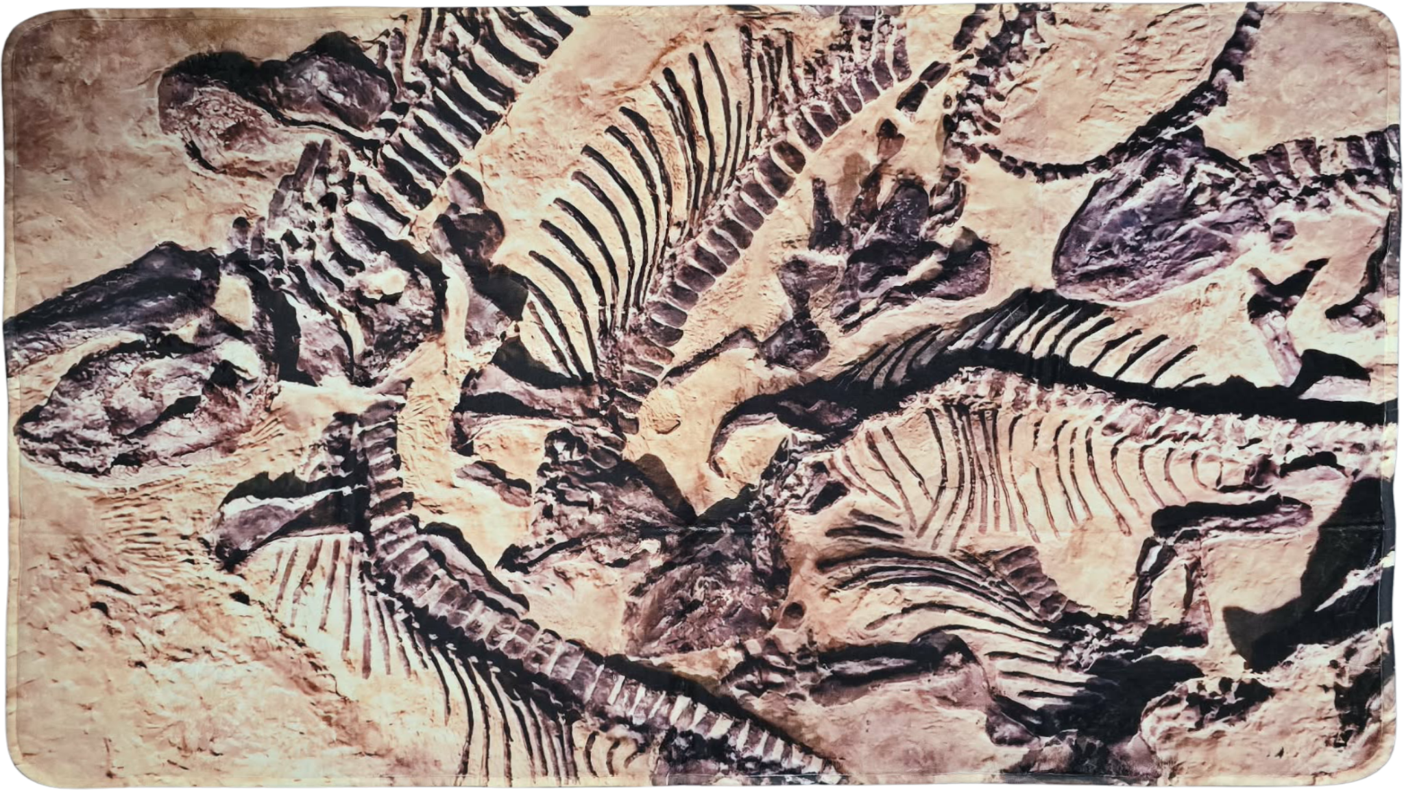 Polyester Area Rug - Dinosaur Fossil Bed - 120cm x 80cm