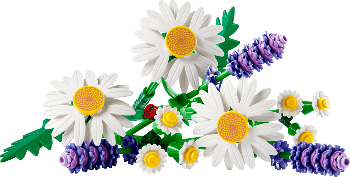 11508 Daisies