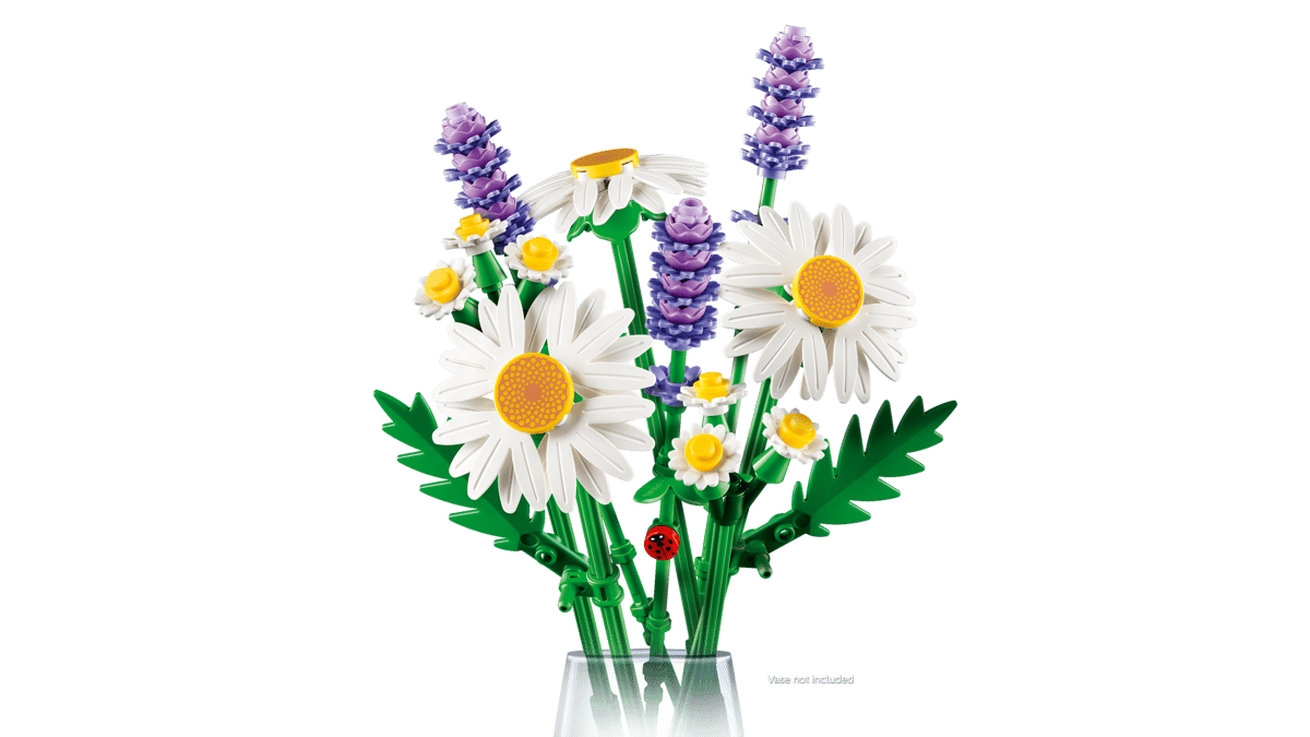 11508 Daisies