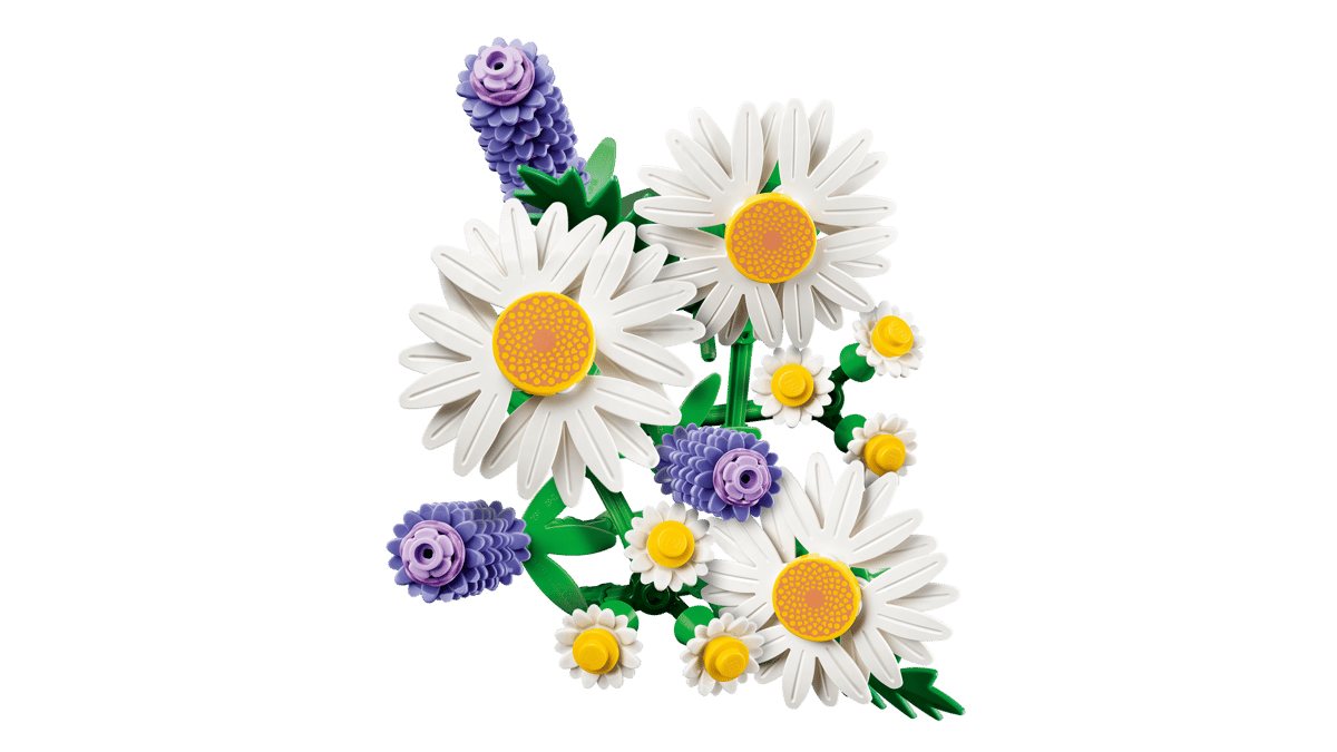11508 Daisies
