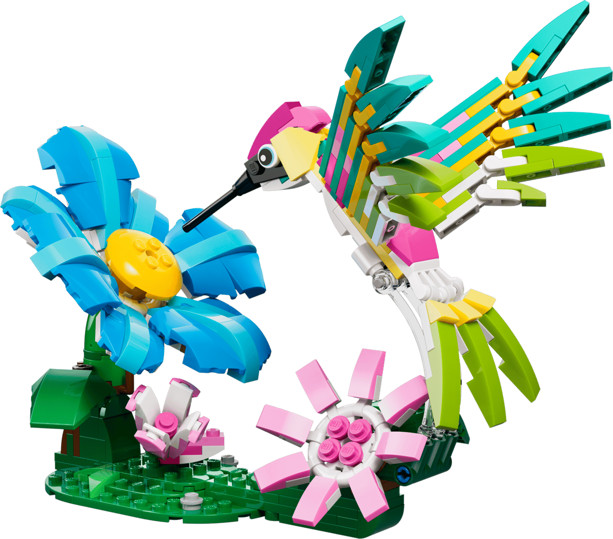 31384 Wild Animals: Colorful Hummingbird