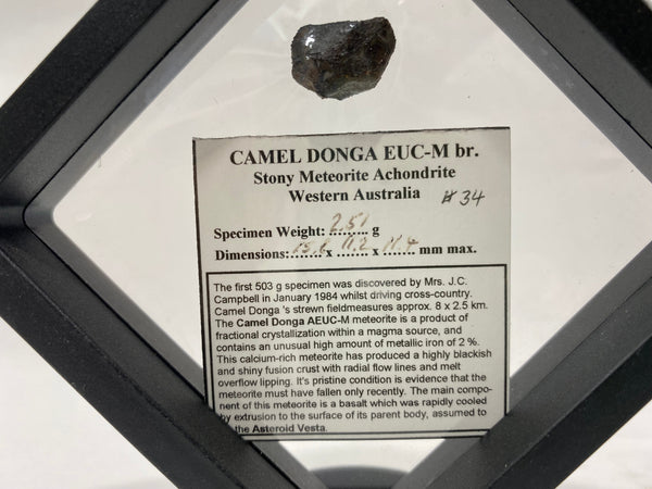 Camel Donga Euc-M Meteorite