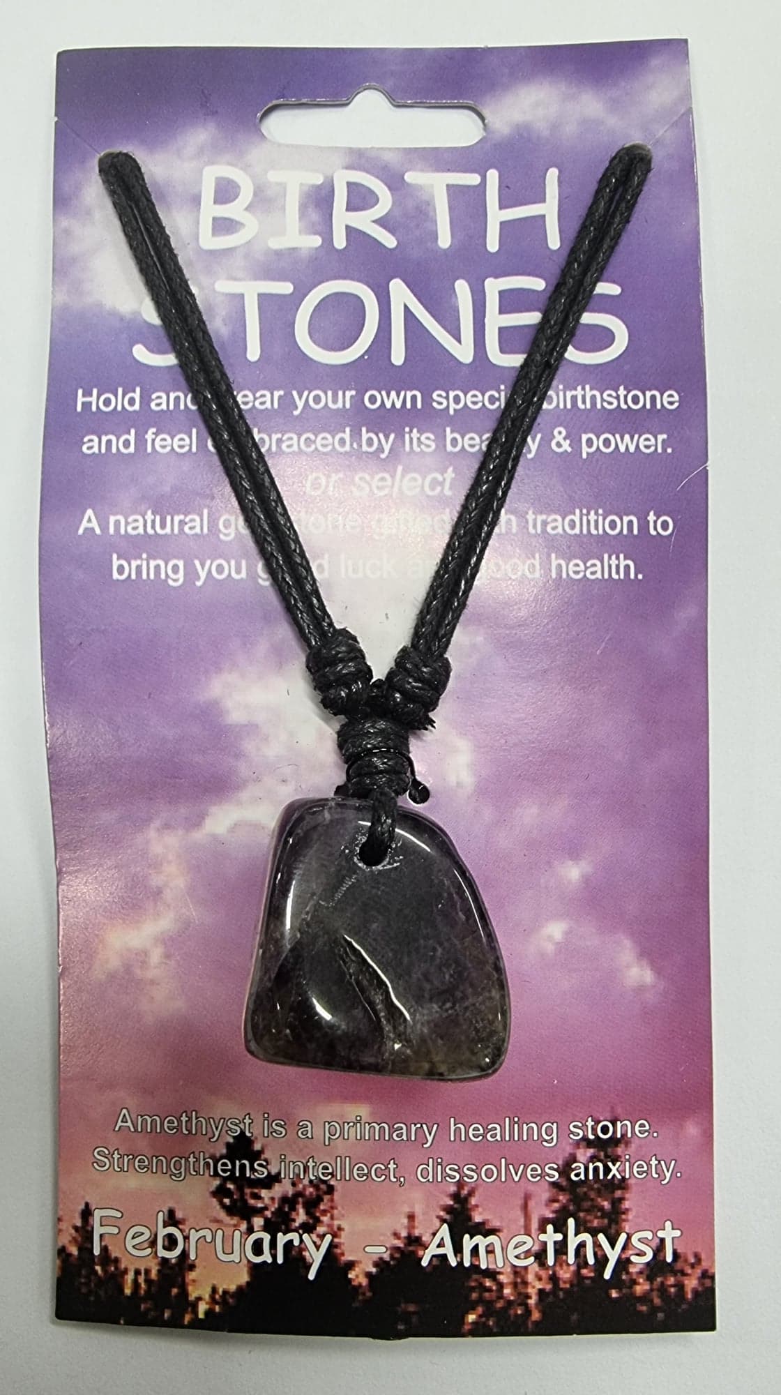 Birthstone Necklace - February - Amethyst