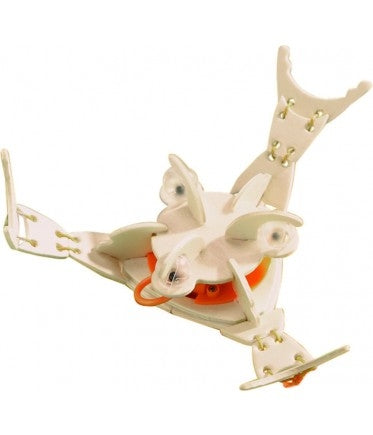 Terra Kids Twirling Prawn
