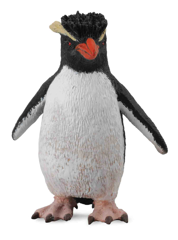 Rock Hopper Penguin