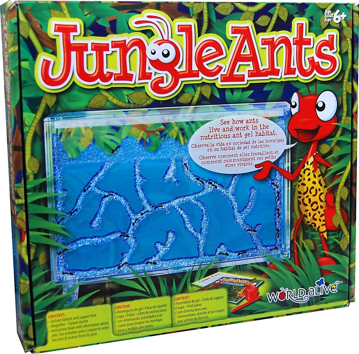Jungle Ants