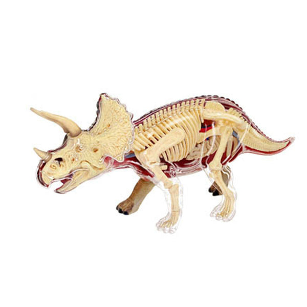 4D Anatomy - Triceratops
