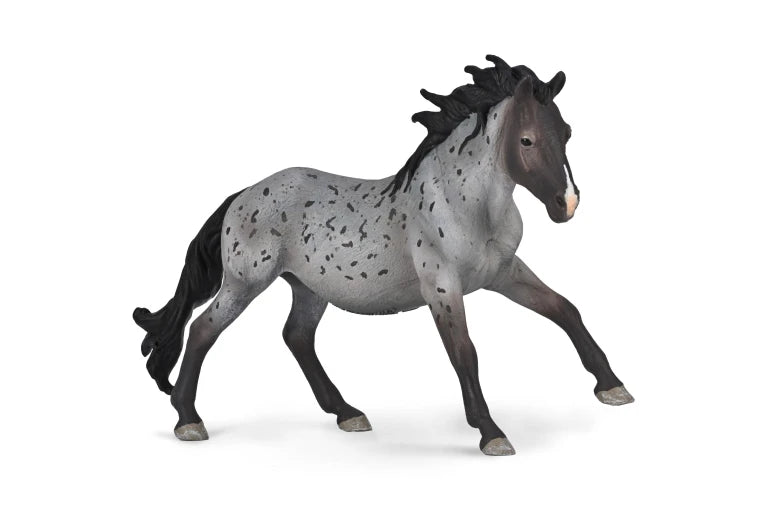 Nokota Stallion - Blue Roan