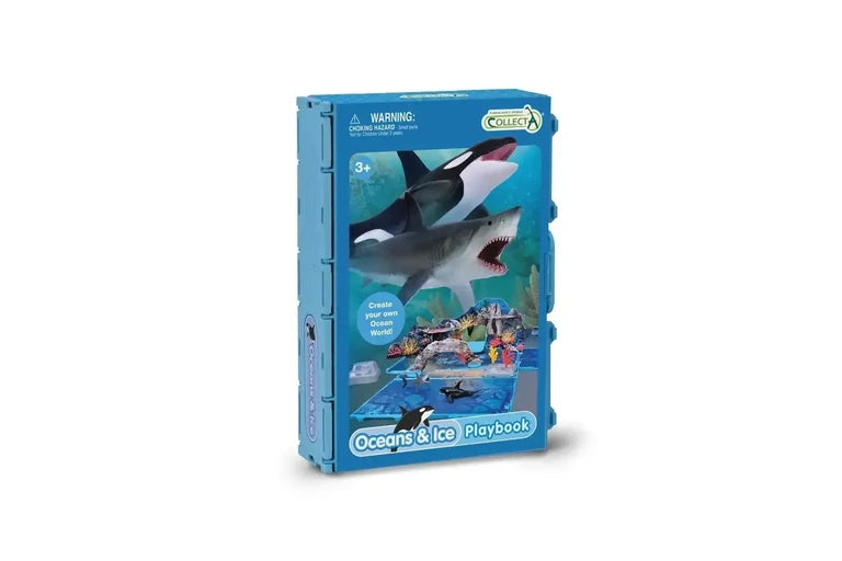 Ocean and Ice Playbook
