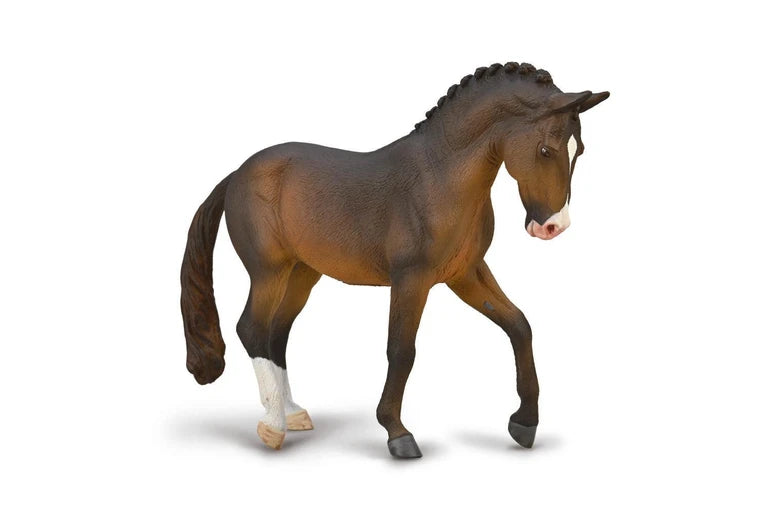 Trakehner Stallion - Seal Bay