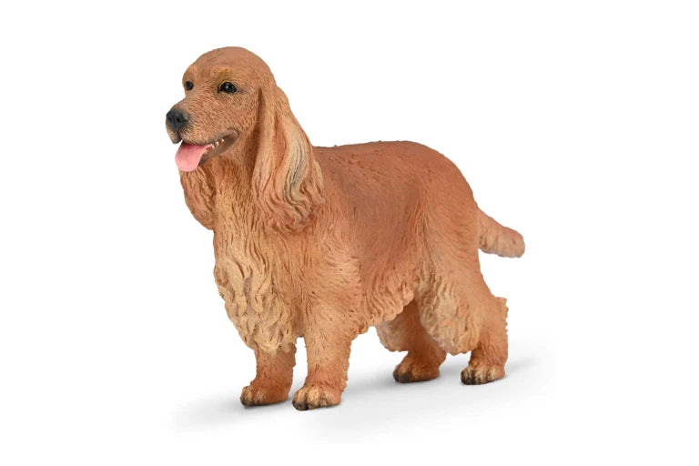 English Cocker Spaniel