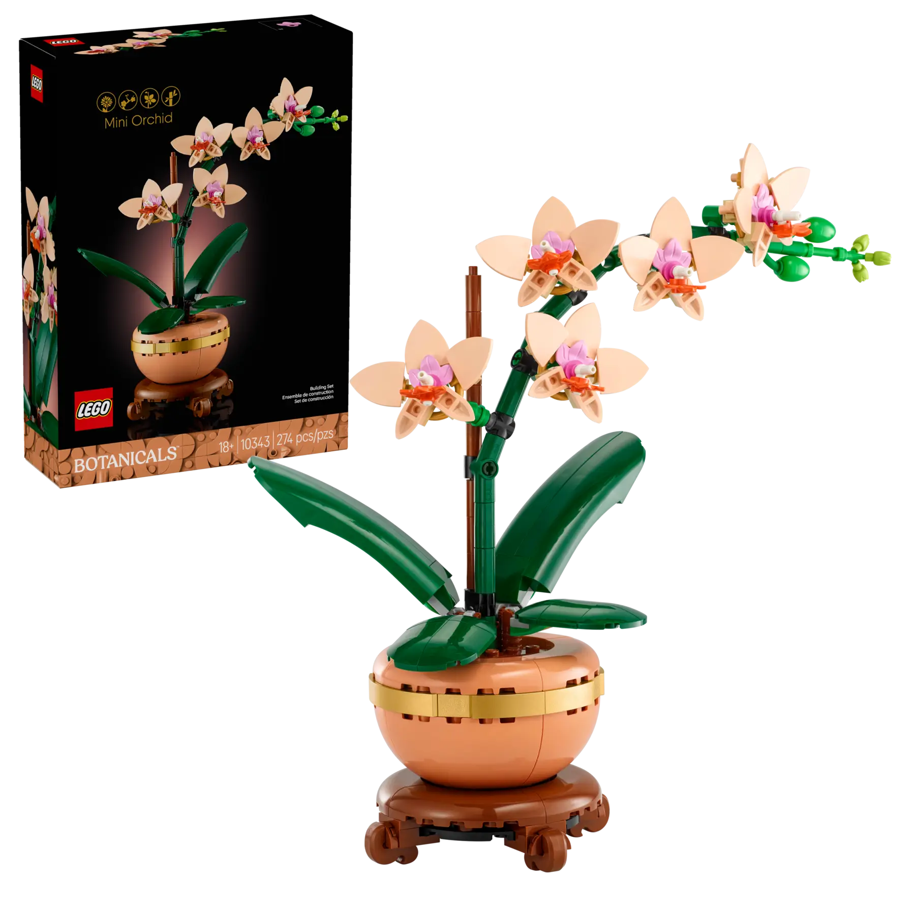 10343 Mini Orchid