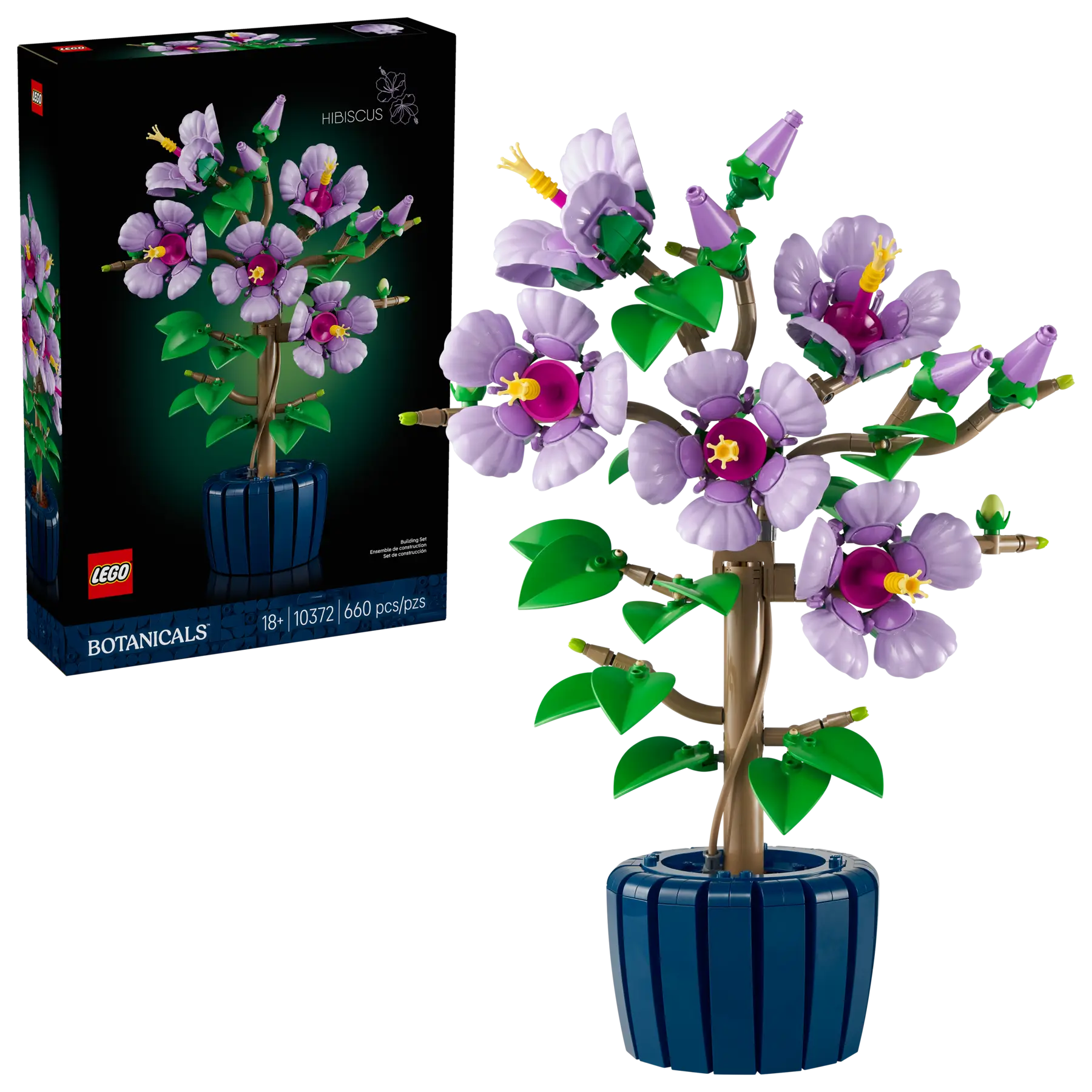 10372 Hibiscus