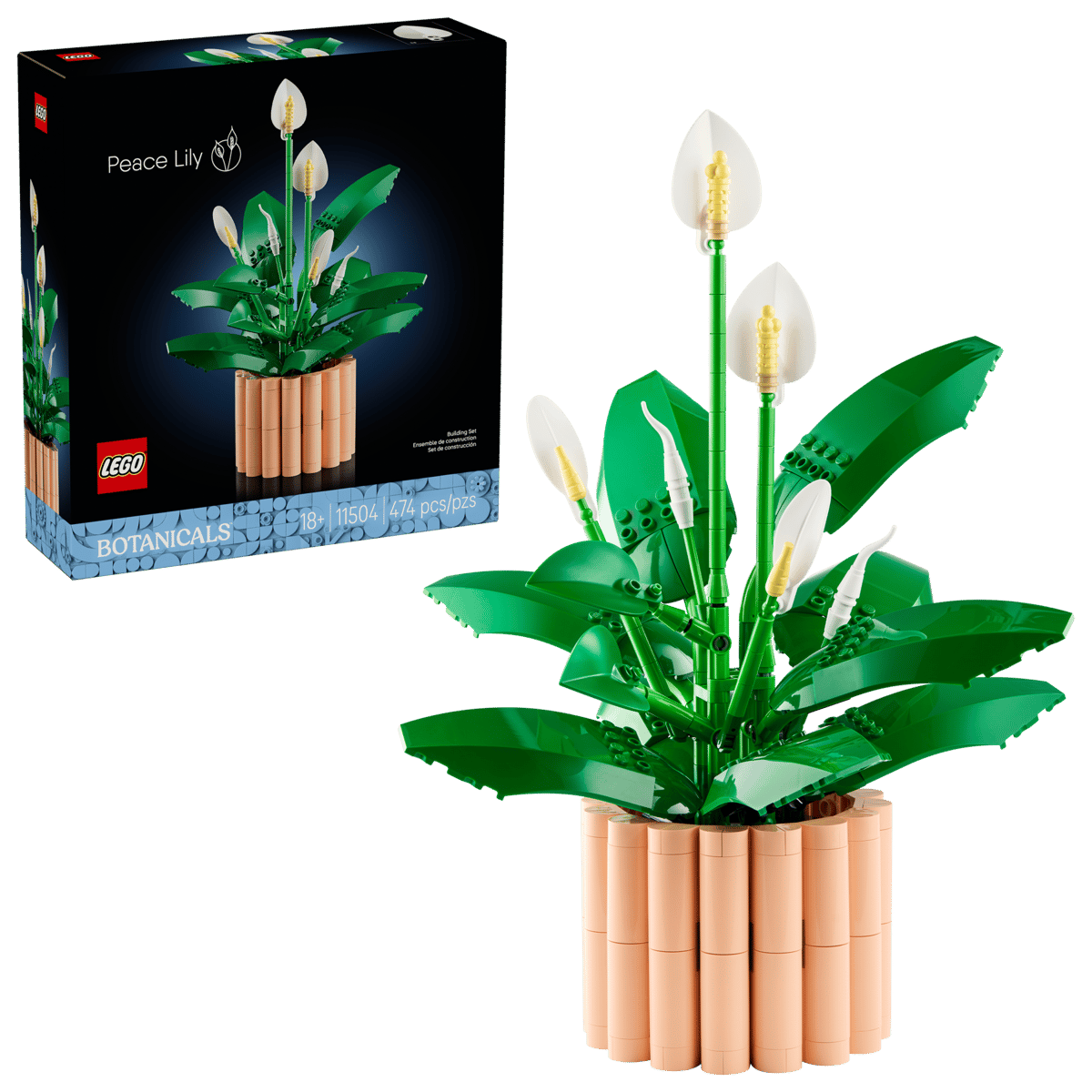 11504 Peace Lily