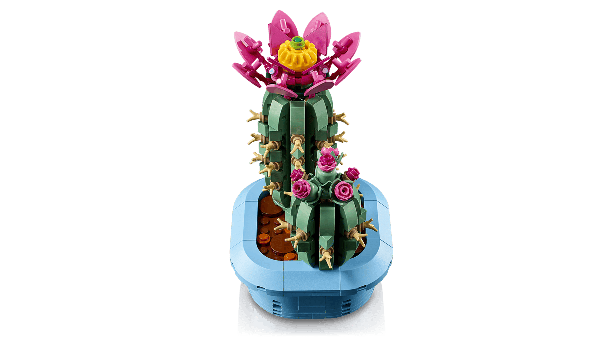 11509 Flowering Cactus