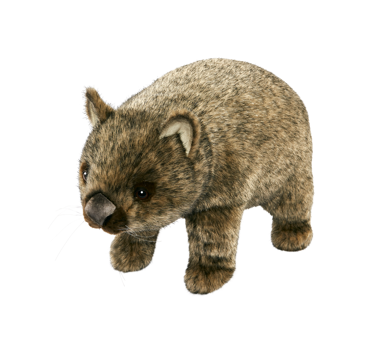 Plush Wombat