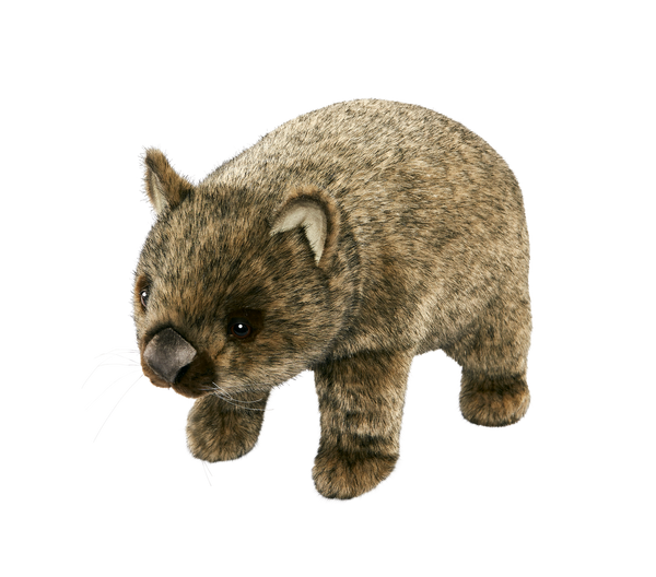 Plush Wombat