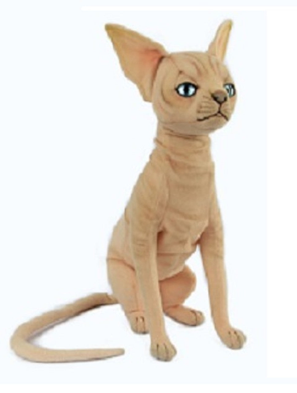 Plush Sphynx Cat Sitting