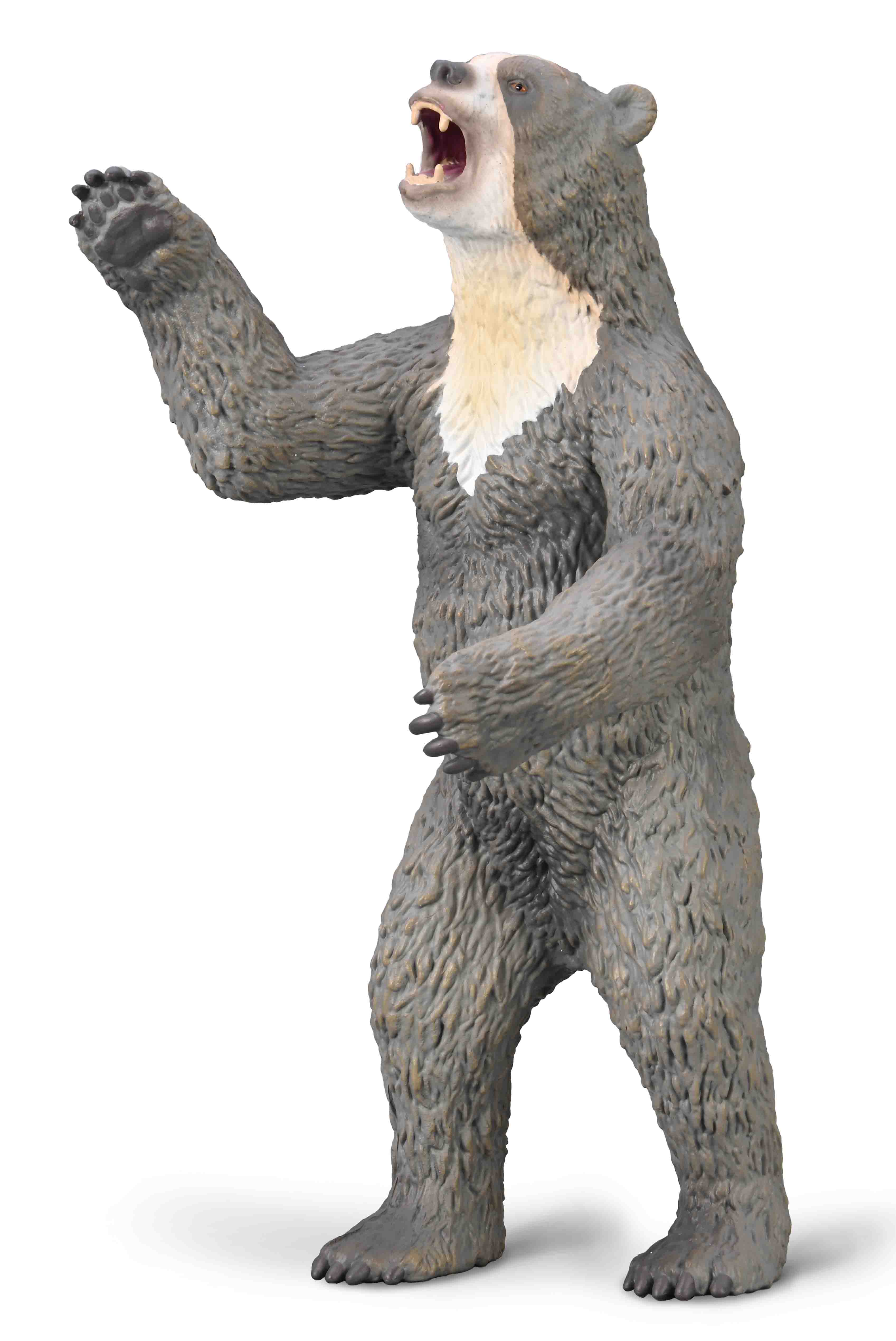 Giant Short-faced Bear