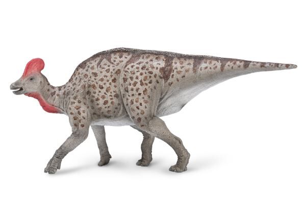 Magnapaulia