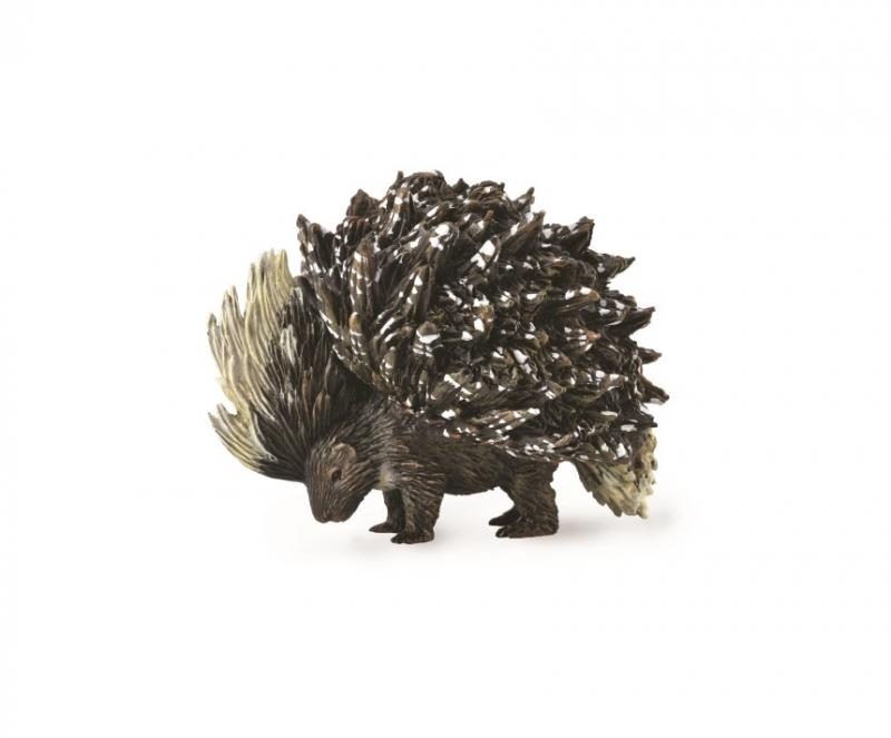 Porcupine - Indian