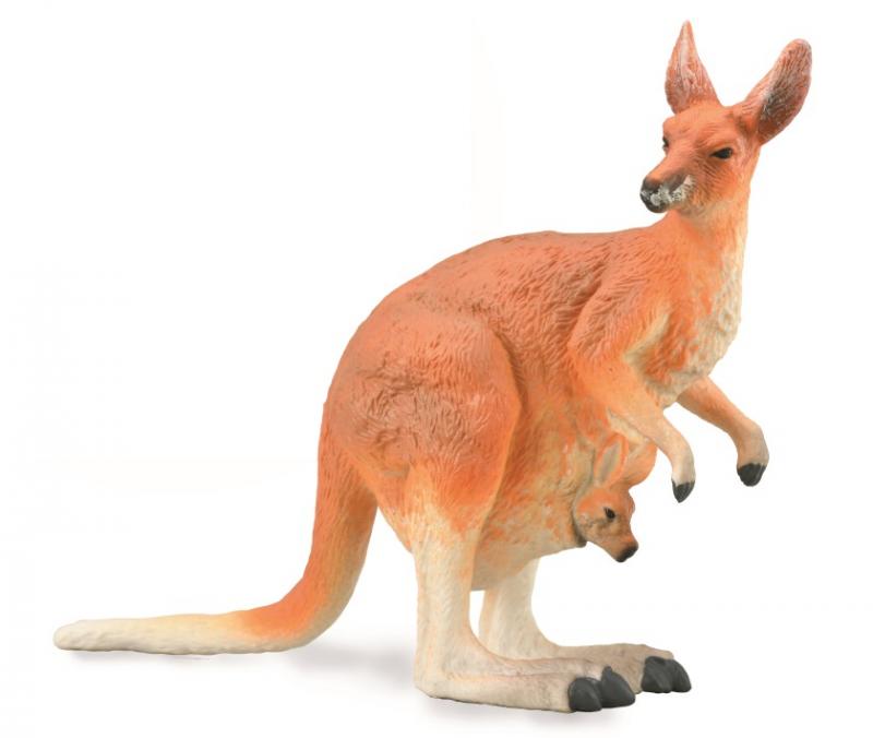 Red Kangaroo Female with Joey