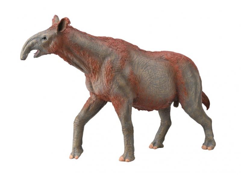 Paraceratherium