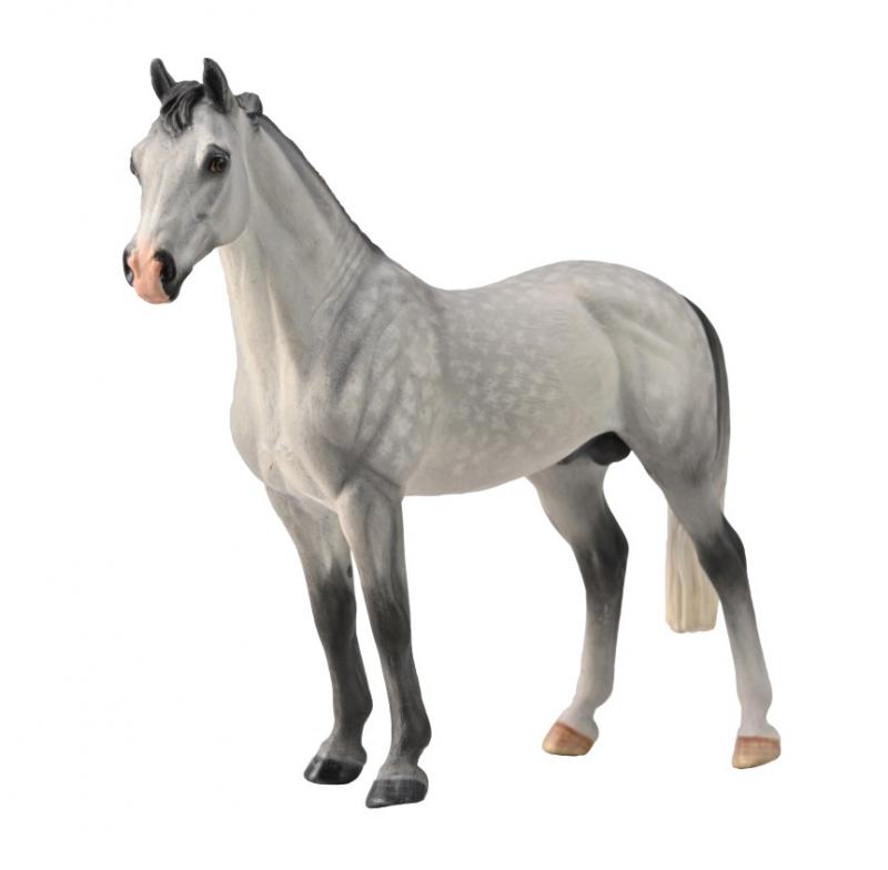 Hanoverian Stallion Dappled Grey