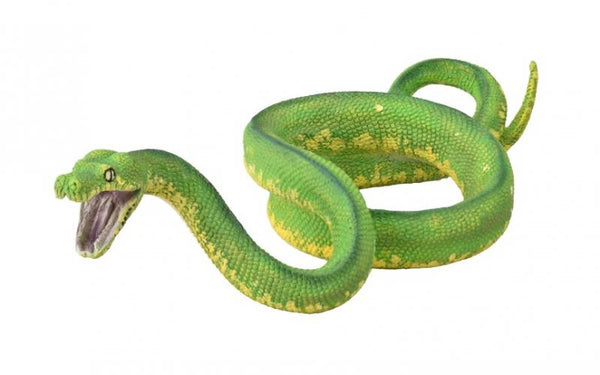 Green Tree Python