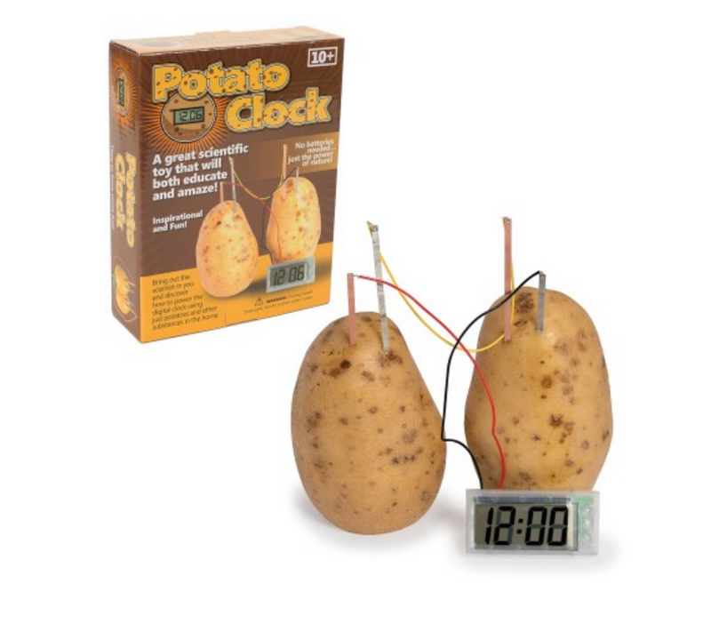 Potato Clock Science Kit