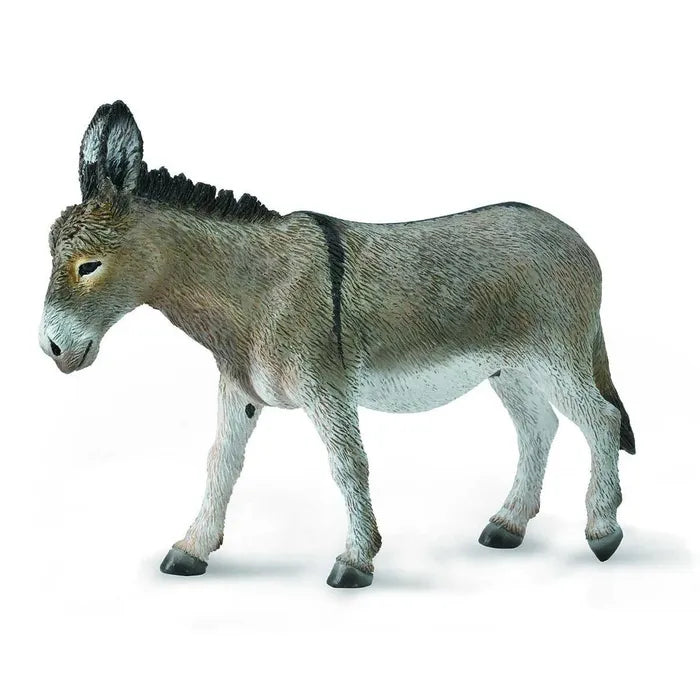 Donkey