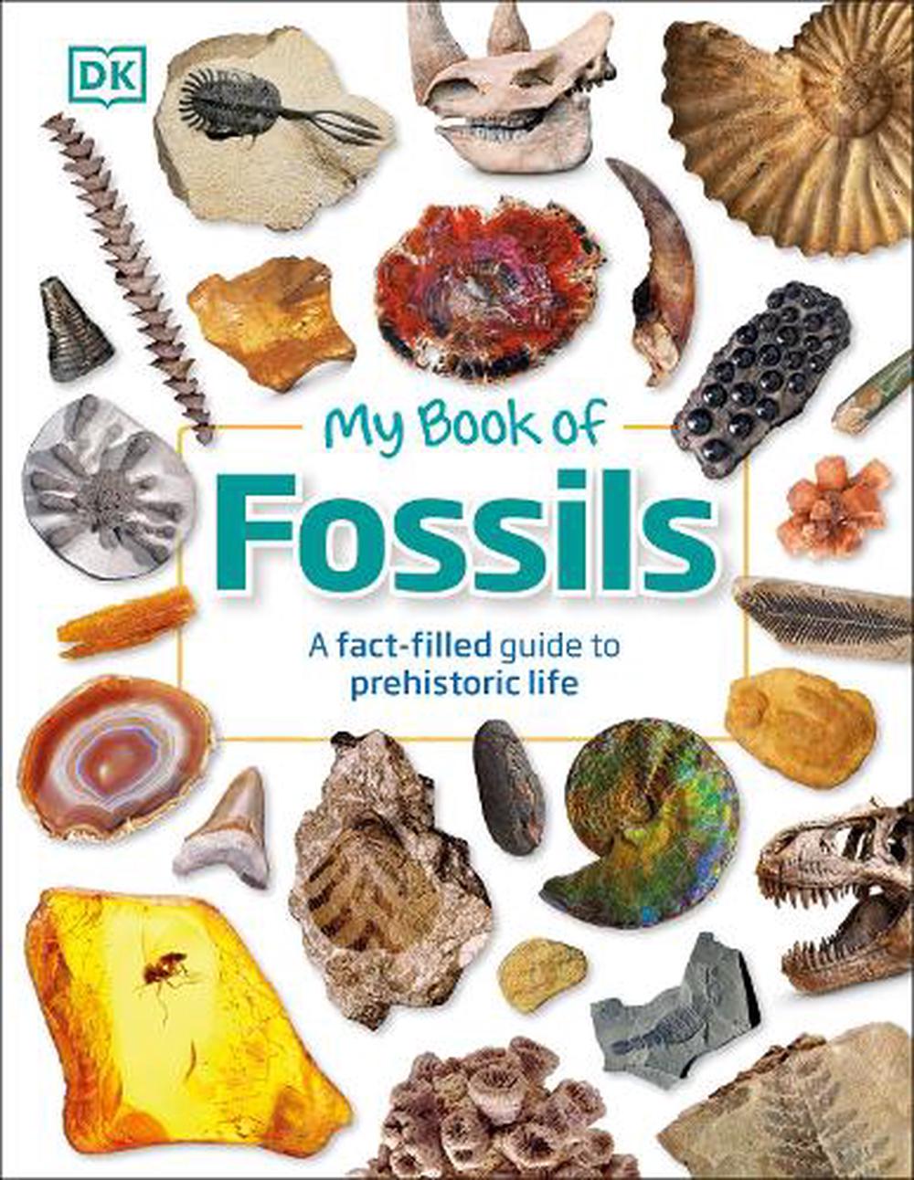 My Book Of Fossils - DK