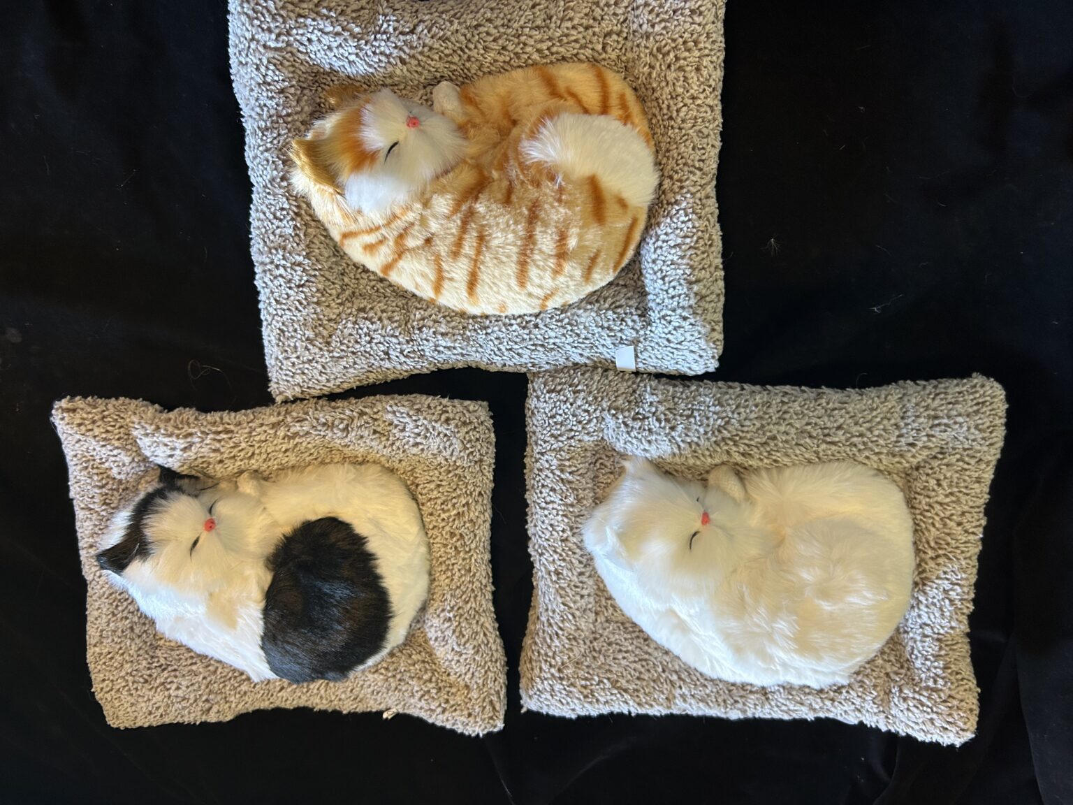 Plush sleeping cat on mat