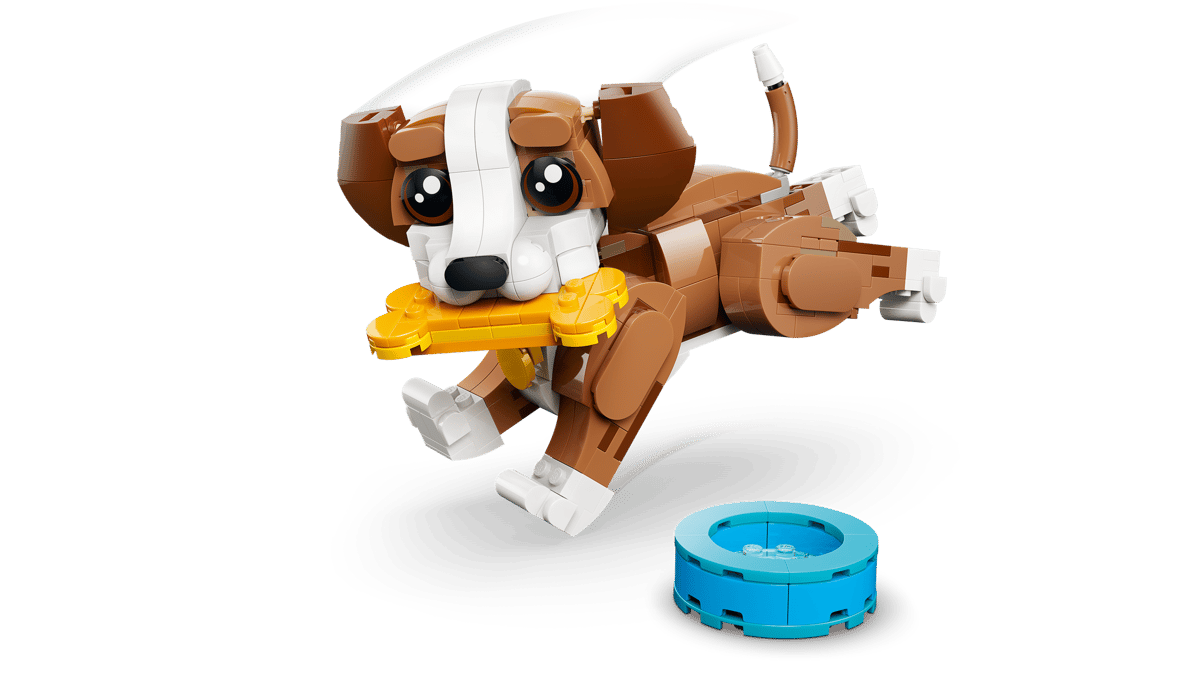 31382 Cute Animals: Playful Puppy Dog